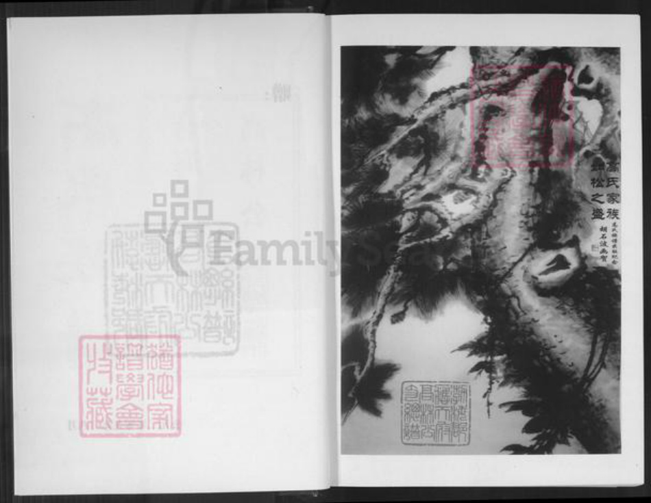 贵州省毕节市大方县高氏族谱-高氏族谱.渤海郡.应天府高林公支总谱.pdf电子版插图3