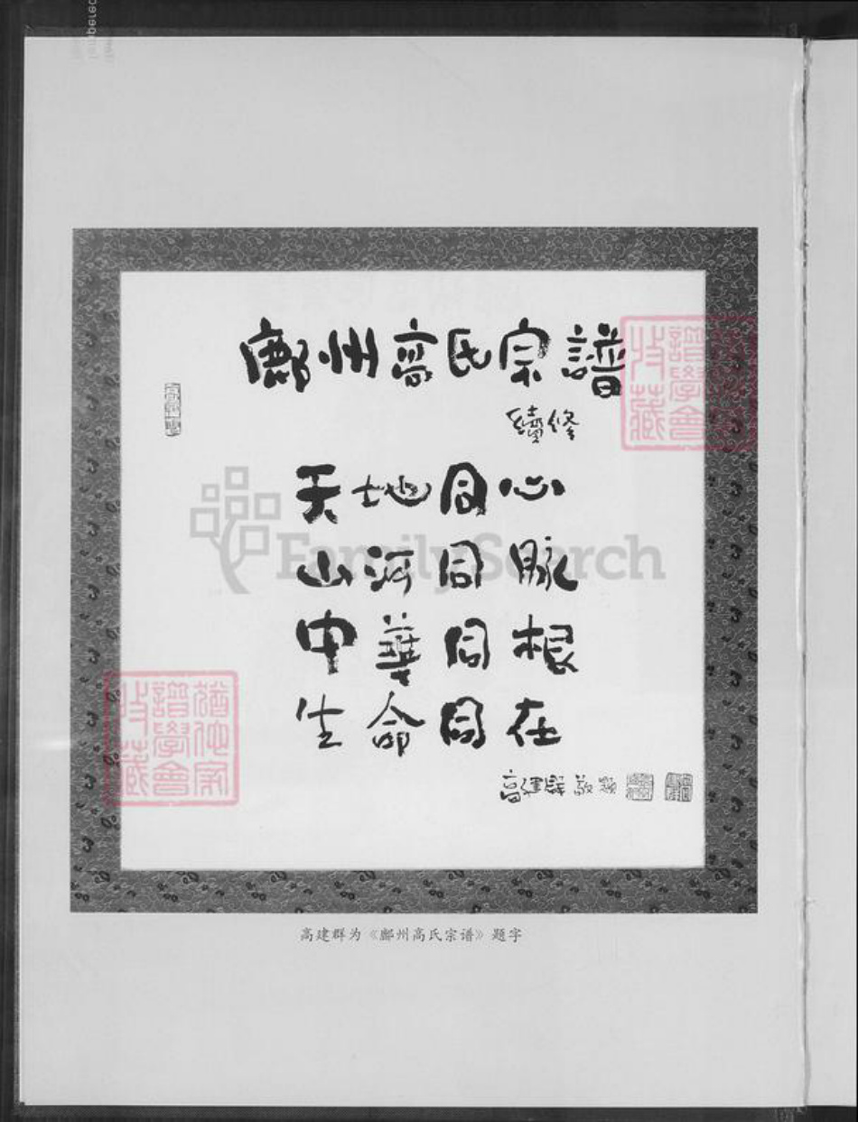 陕西省延安市鄜县高氏族谱-鄜州高氏宗谱.pdf电子版插图4