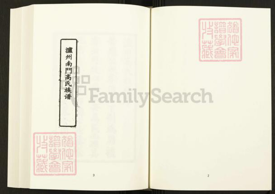 四川省泸州市四川省高氏宝仁堂族谱-中国珍稀家谱丛刊.四川家谱.第24册.泸州南门高氏族谱.pdf电子版插图4