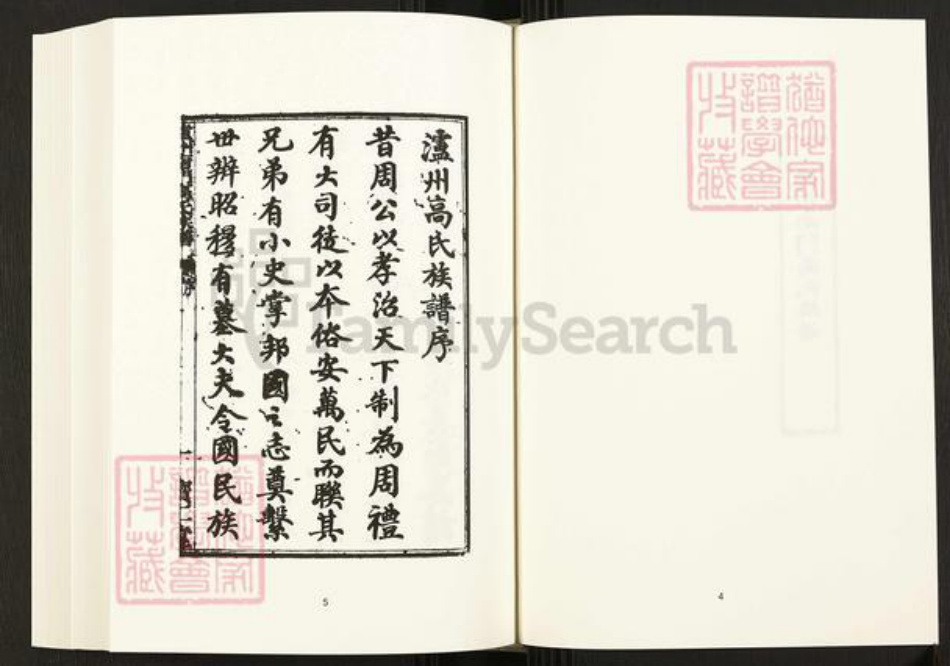 四川省泸州市四川省高氏宝仁堂族谱-中国珍稀家谱丛刊.四川家谱.第24册.泸州南门高氏族谱.pdf电子版插图5