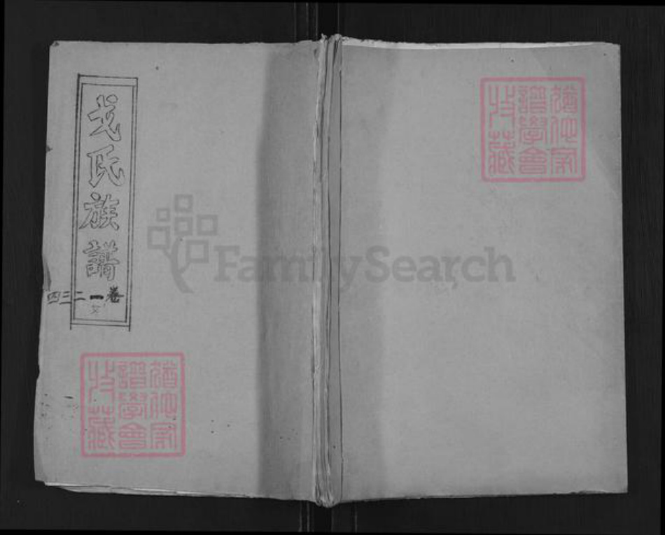 江苏省南京市戈氏族谱-戈氏族谱.pdf电子版插图