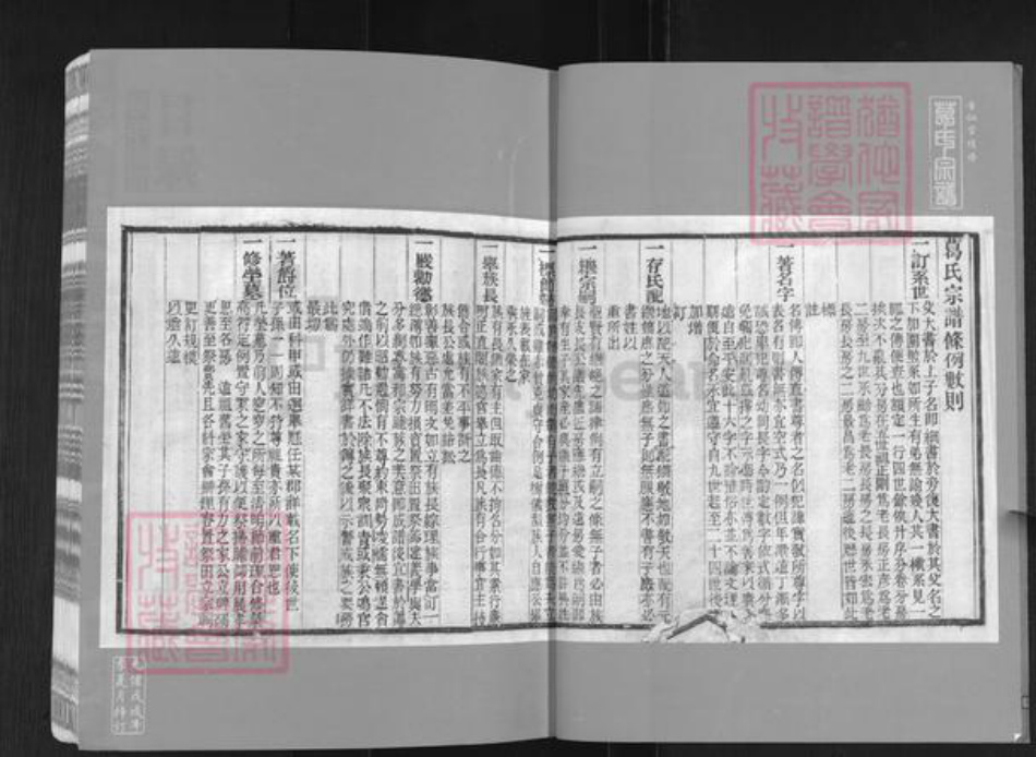 江苏省宿迁市泗阳县葛氏晋仙堂族谱-葛氏宗谱.pdf电子版插图2
