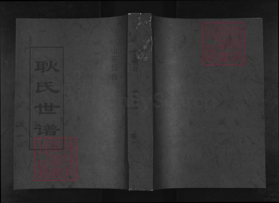 山东省淄博市桓台县新城镇耿氏族谱-桓台耿氏世谱.pdf电子版插图