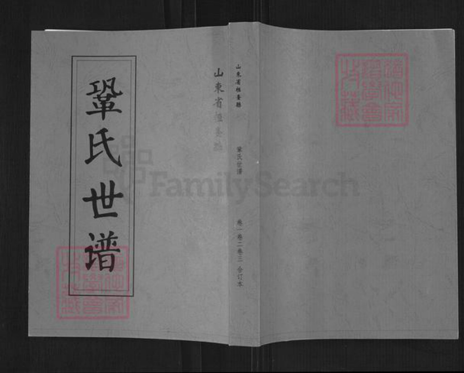 山东省淄博市桓台县起凤镇巩氏九思堂族谱-巩氏世谱.pdf电子版插图