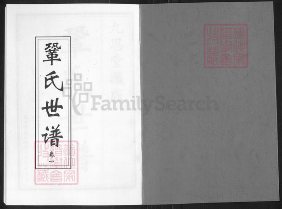 山东省淄博市桓台县起凤镇巩氏九思堂族谱-巩氏世谱.pdf电子版插图1
