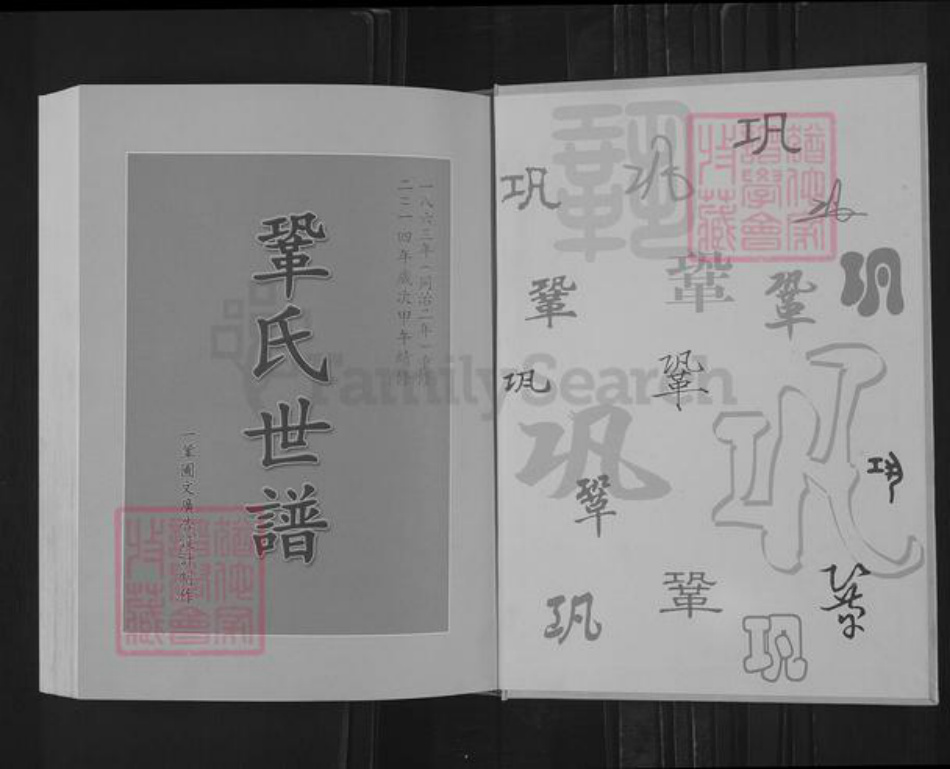 山东省淄博市桓台县新城镇巩氏族谱-巩氏三支世谱.pdf电子版插图1