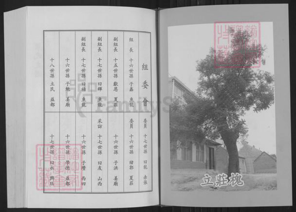 山东省淄博市桓台县新城镇巩氏族谱-巩氏三支世谱.pdf电子版插图2