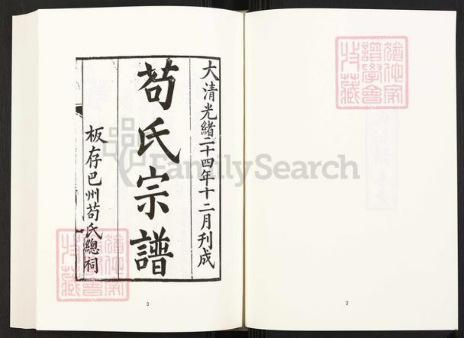 四川省巴中市巴州区四川省苟氏族谱-中国珍稀家谱丛刊.四川家谱.第33~34册.苟氏宗谱.pdf电子版插图4
