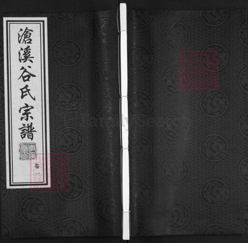 江苏省南京市高淳区阳江镇谷氏孝义堂族谱-沧溪谷氏宗谱.pdf电子版插图