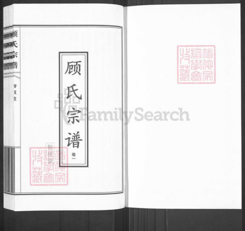 江苏省泰州市泰兴市黄桥镇顾氏智仪堂族谱-顾氏宗谱.pdf电子版插图1