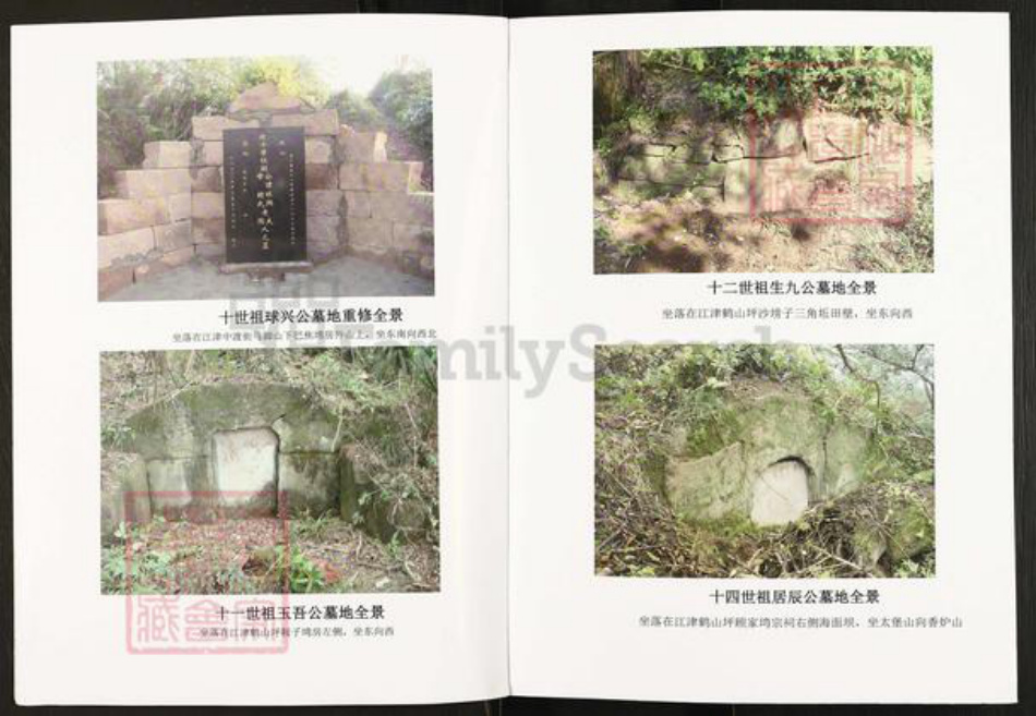 重庆市江津区先锋镇顾氏武陵堂族谱-顾氏族谱.pdf电子版插图3