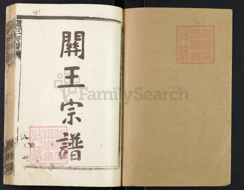 湖北省孝感市汉川市南河乡关王氏寿槐堂族谱-关王宗谱.pdf电子版插图1