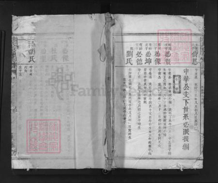 湖南省岳阳市临湘市临湘桂氏天水堂族谱-桂氏重新族谱.pdf电子版插图