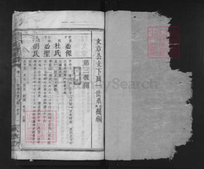 湖南省岳阳市临湘市临湘桂氏天水堂族谱-桂氏重新族谱.pdf电子版插图1