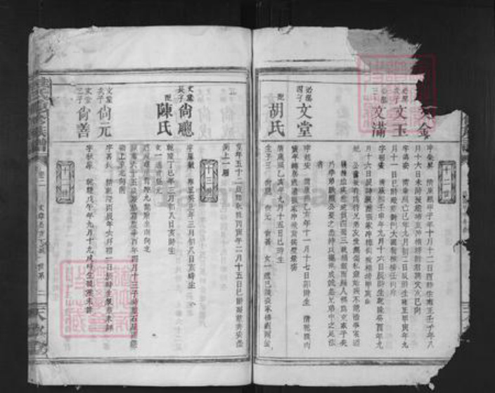 湖南省岳阳市临湘市临湘桂氏天水堂族谱-桂氏重新族谱.pdf电子版插图2