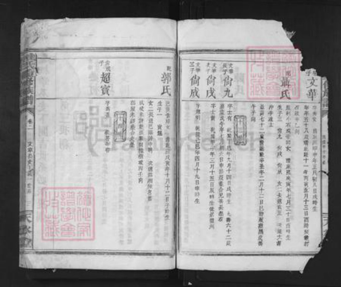 湖南省岳阳市临湘市临湘桂氏天水堂族谱-桂氏重新族谱.pdf电子版插图3
