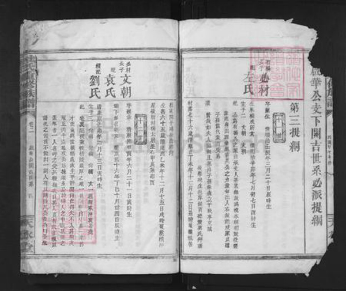 湖南省岳阳市临湘市临湘桂氏天水堂族谱-桂氏重新族谱.pdf电子版插图4