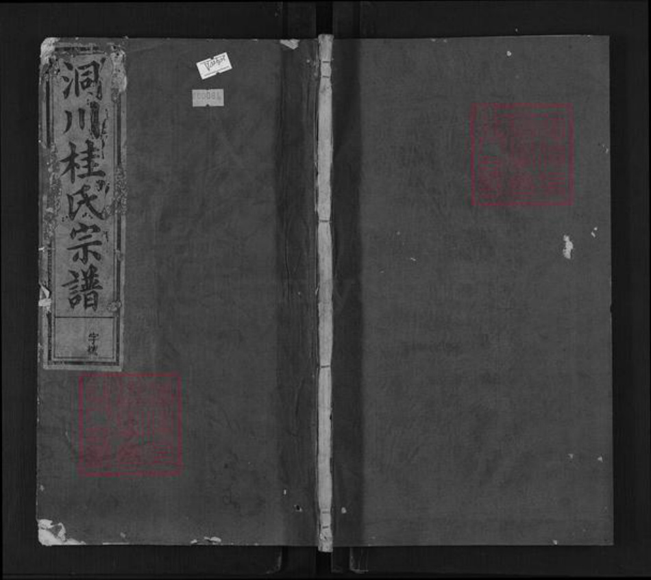 浙江省杭州市淳安县县桂氏燕贻堂族谱-洞川桂氏宗谱.pdf电子版插图