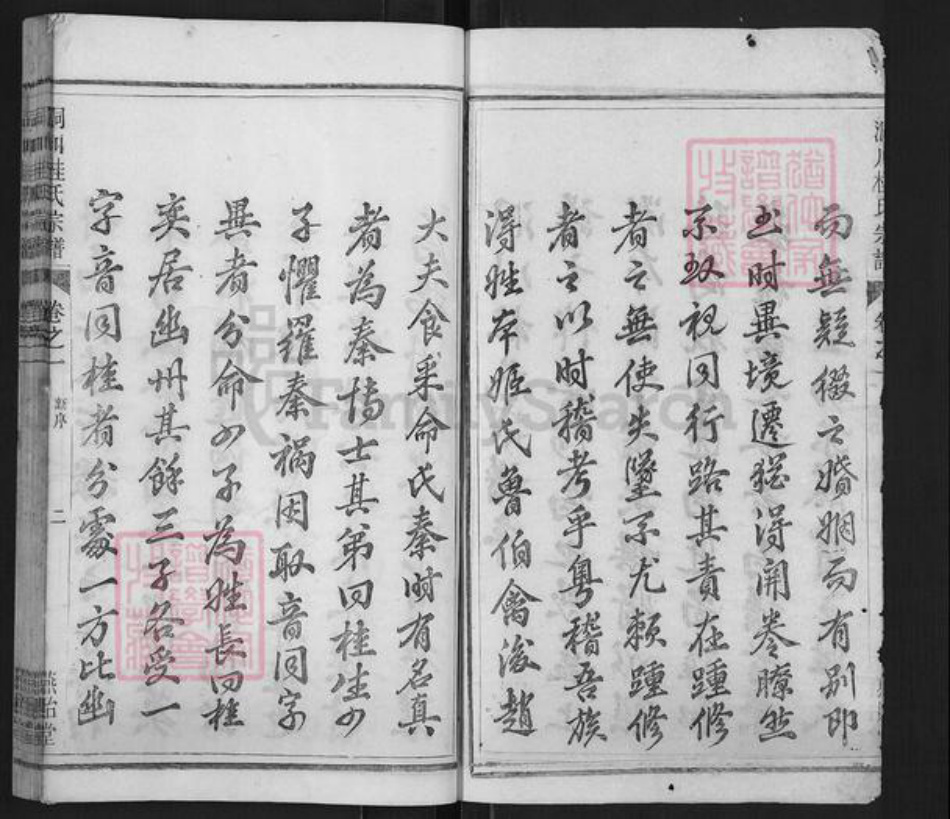 浙江省杭州市淳安县县桂氏燕贻堂族谱-洞川桂氏宗谱.pdf电子版插图2