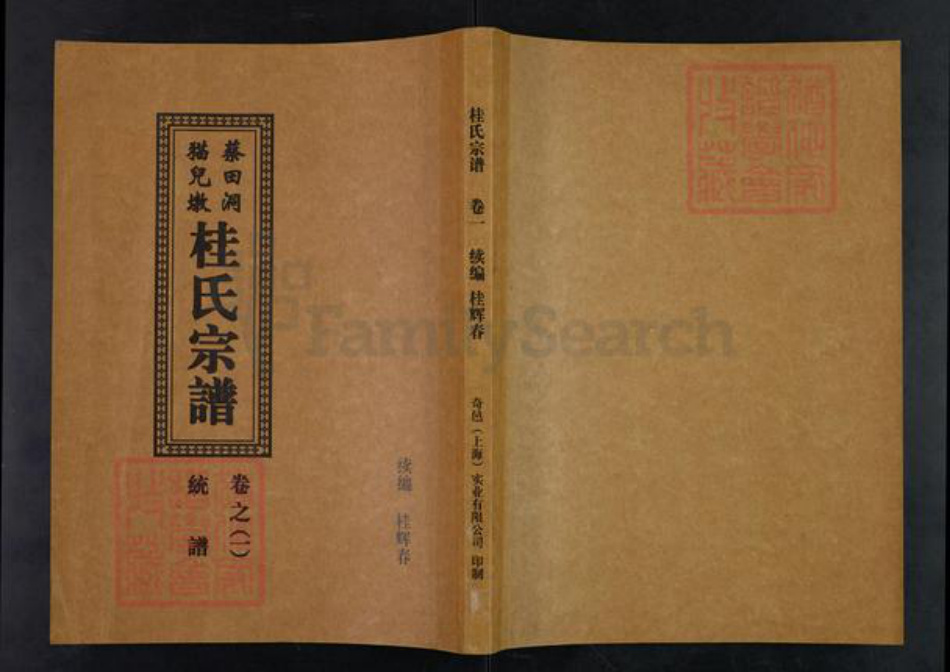 安徽省池州市贵池区乌沙镇桂氏族谱-蔡田洞.猫儿墩.桂氏宗谱.pdf电子版插图