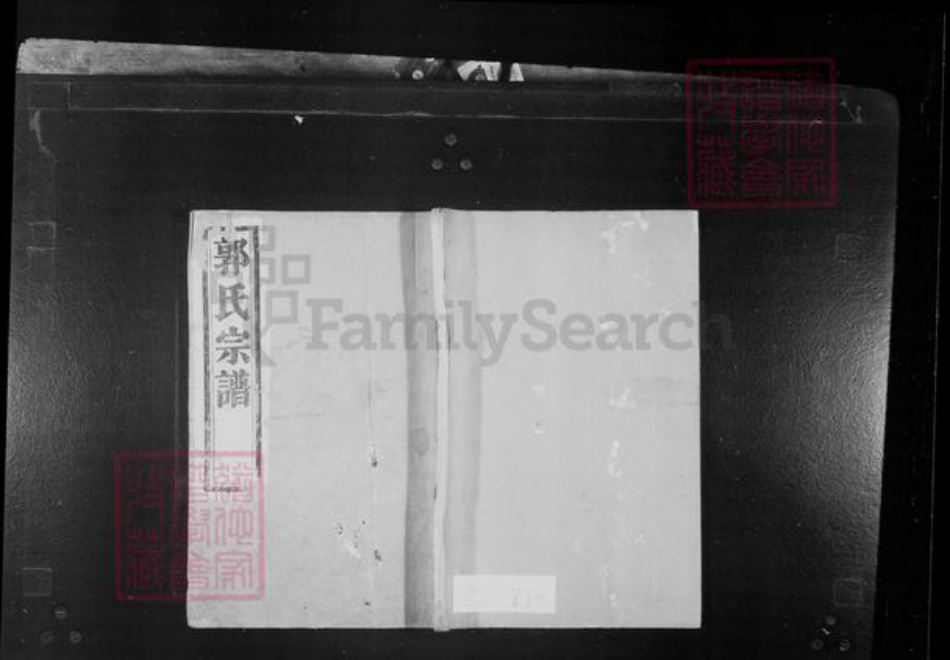 江苏省镇江市郭氏诒政堂族谱-润东郭氏家乘 [8卷].pdf电子版插图