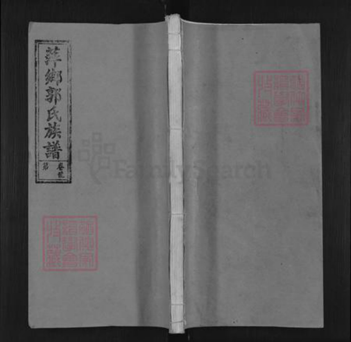 江西省萍乡市郭氏族谱-萍乡郭氏族谱 [11卷].pdf电子版插图