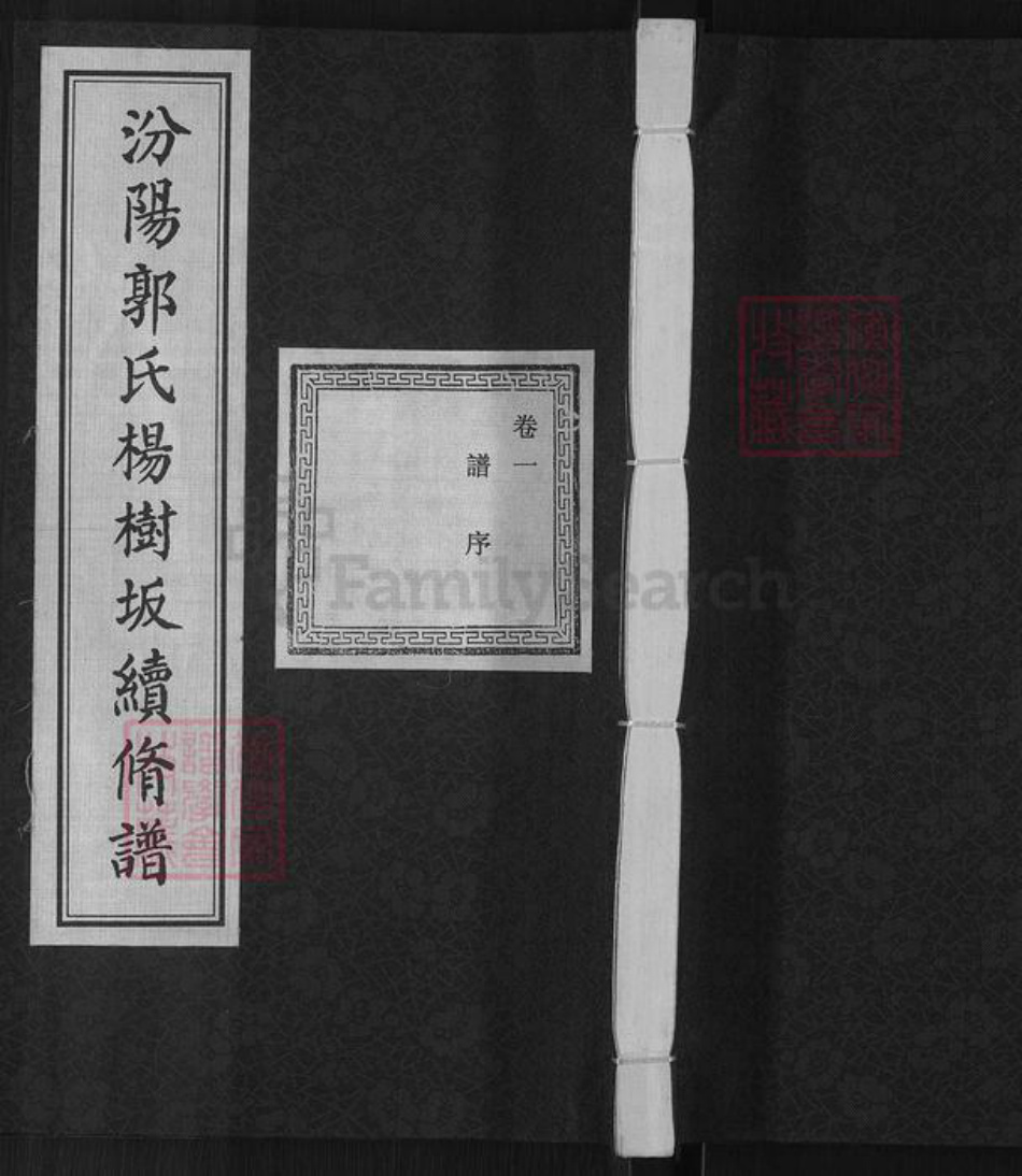 浙江省绍兴诸暨市郭氏忠武堂族谱-汾阳郭氏杨树坂续修谱.pdf电子版插图