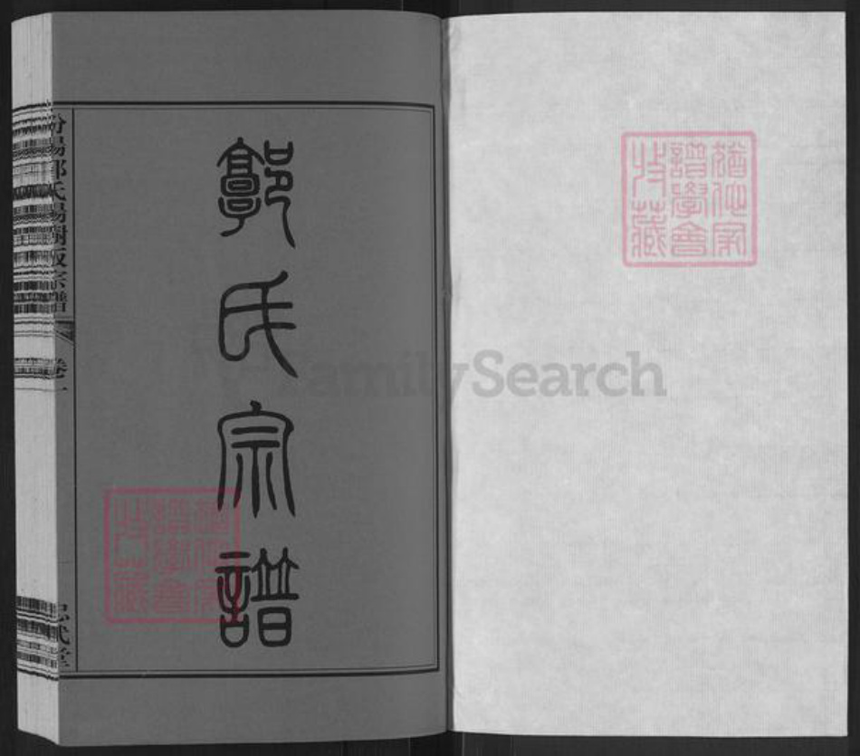 浙江省绍兴诸暨市郭氏忠武堂族谱-汾阳郭氏杨树坂续修谱.pdf电子版插图1