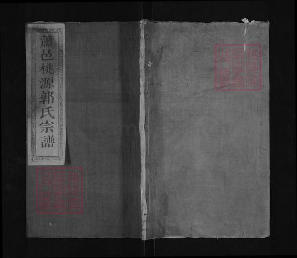 浙江省杭州市萧山区萧山郭氏忠武堂族谱-萧邑桃源郭氏宗谱.pdf电子版插图