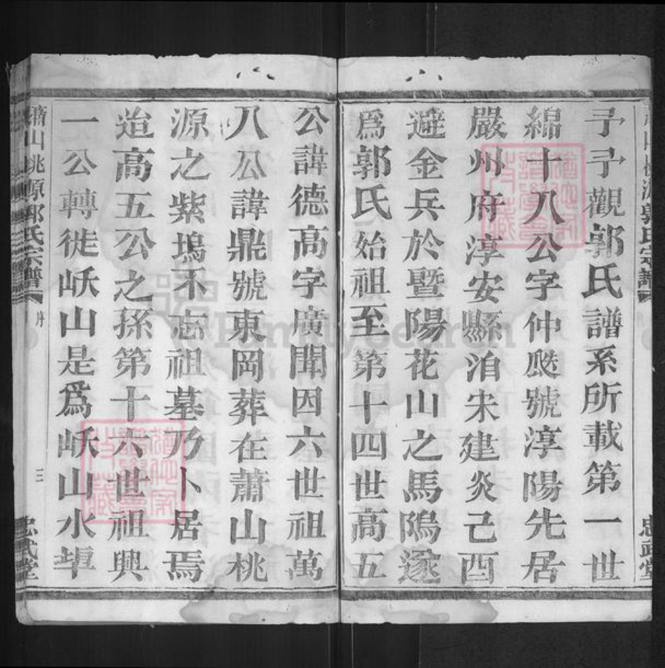 浙江省杭州市萧山区萧山郭氏忠武堂族谱-萧邑桃源郭氏宗谱.pdf电子版插图3