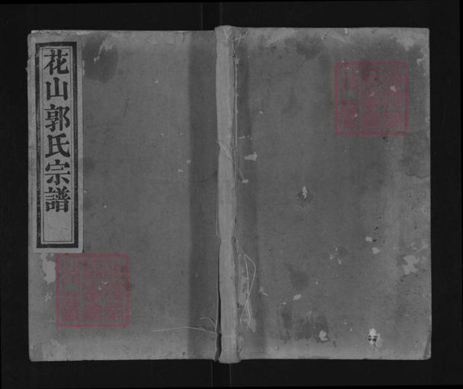 浙江省绍兴诸暨市直端口郭氏忠武堂族谱-暨阳郭氏宗谱.pdf电子版插图