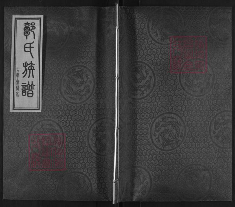河北省沧州盐山县望树镇郭氏族谱-郭氏家谱.pdf电子版插图