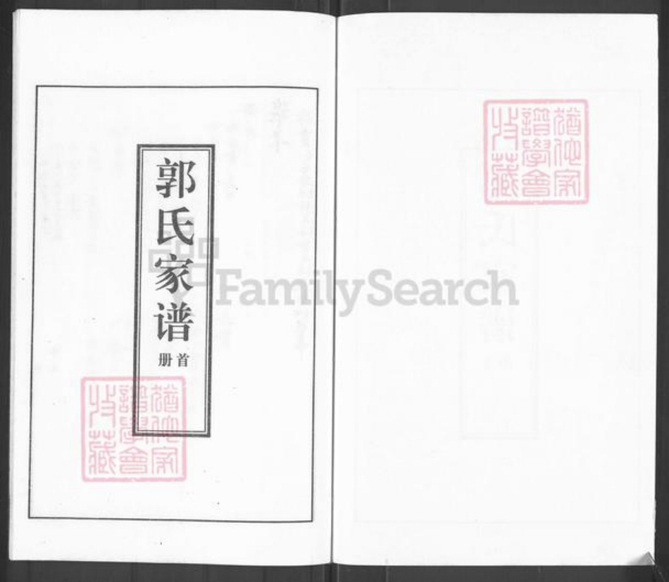 河北省沧州盐山县望树镇郭氏族谱-郭氏家谱.pdf电子版插图1