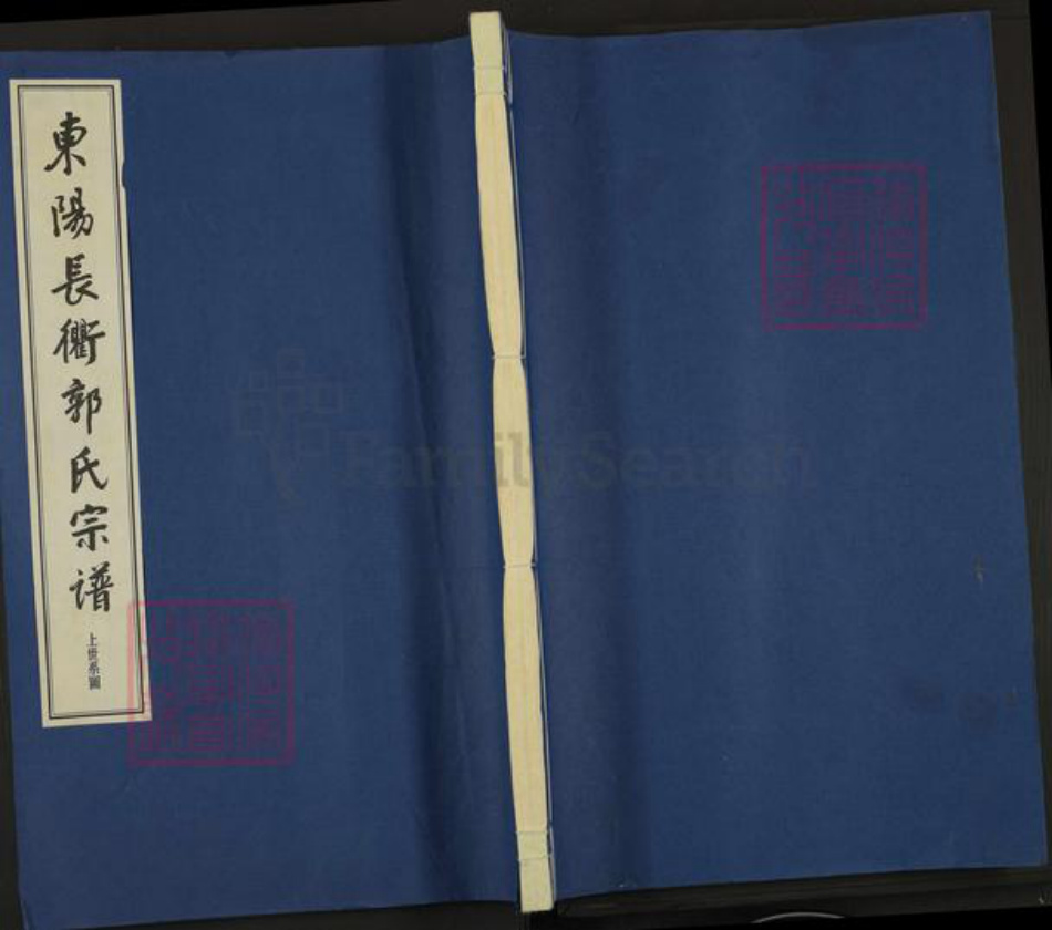 浙江省金华市东阳市湖溪镇郭氏敦叙堂族谱-东阳长衢郭氏宗谱.pdf电子版插图