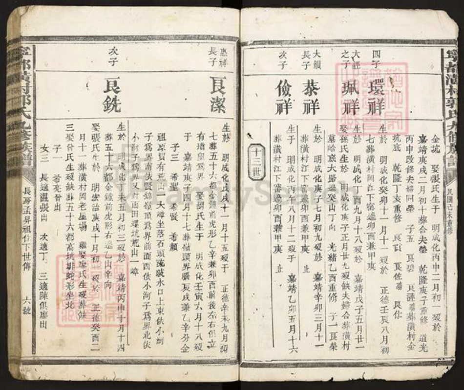 江西省赣州市宁都县郭氏族谱-宁都潢村郭氏九修族谱.pdf电子版插图4