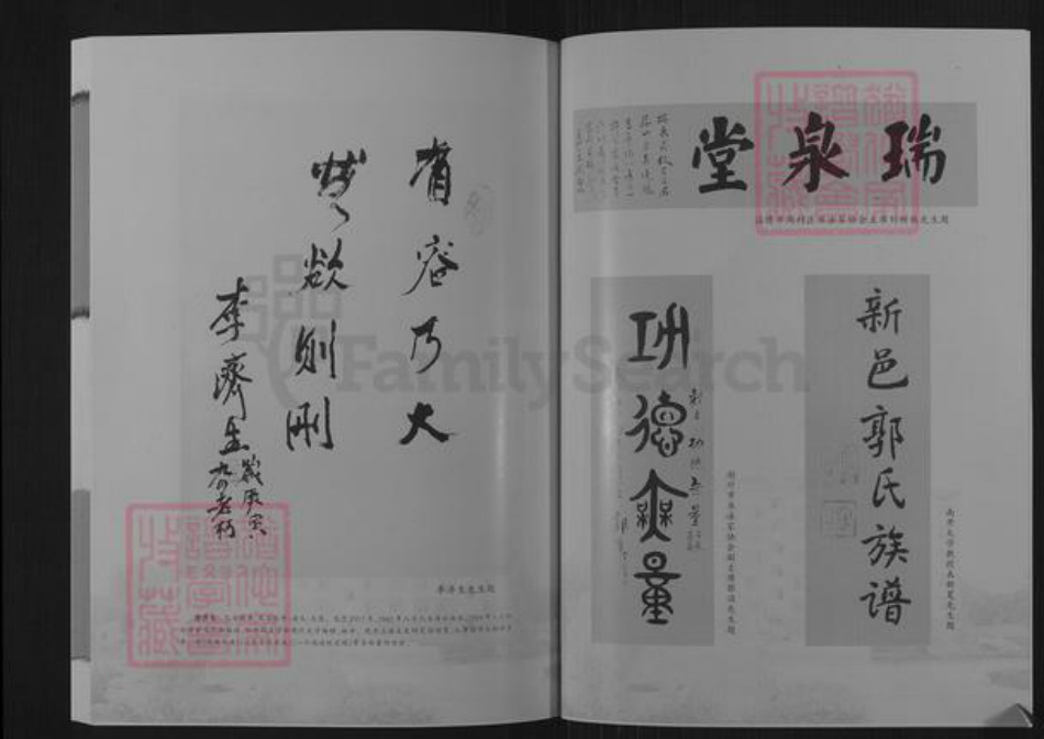 山东省泰安市新泰市羊流镇郭氏瑞泉堂族谱-新邑郭氏族谱.pdf电子版插图5