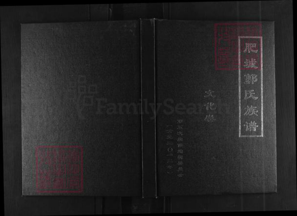 山东省泰安市肥城市郭氏族谱-肥城郭氏族谱 [八卷文化卷一卷].pdf电子版插图