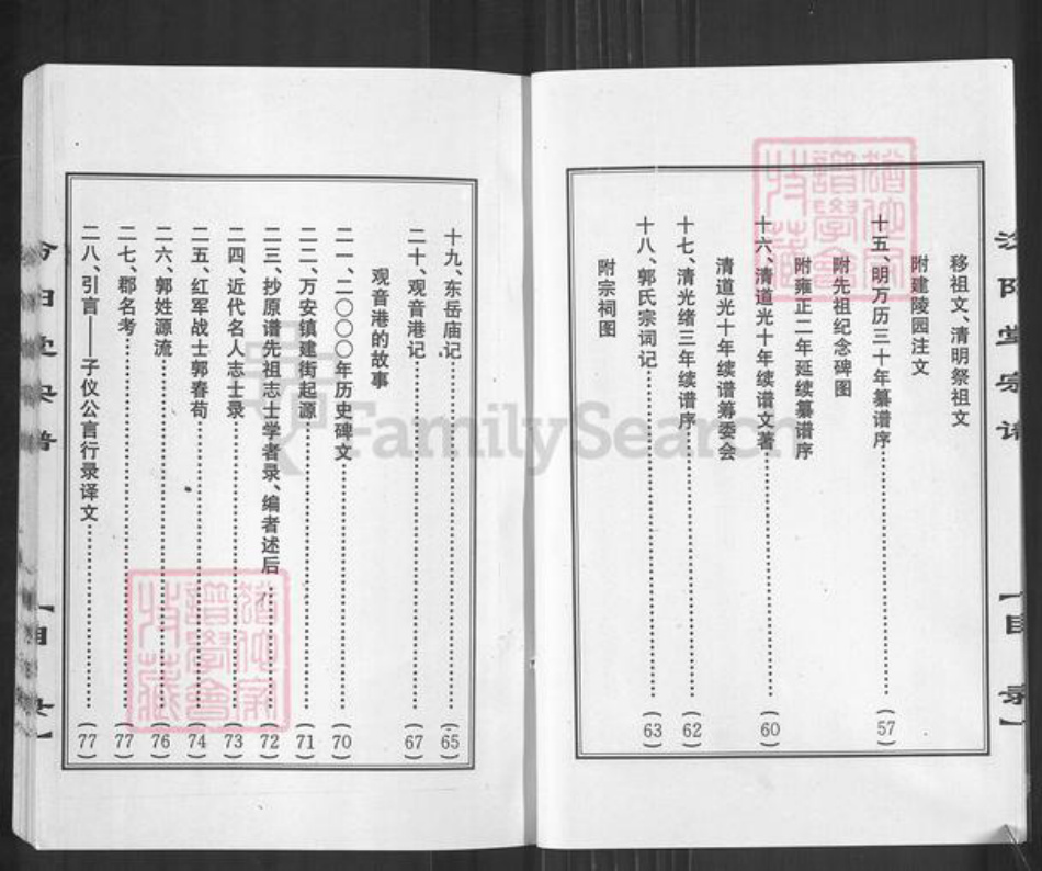 湖北省孝感市孝南区陡岗镇郭氏汾阳堂族谱-澴川郭氏宗谱.pdf电子版插图4