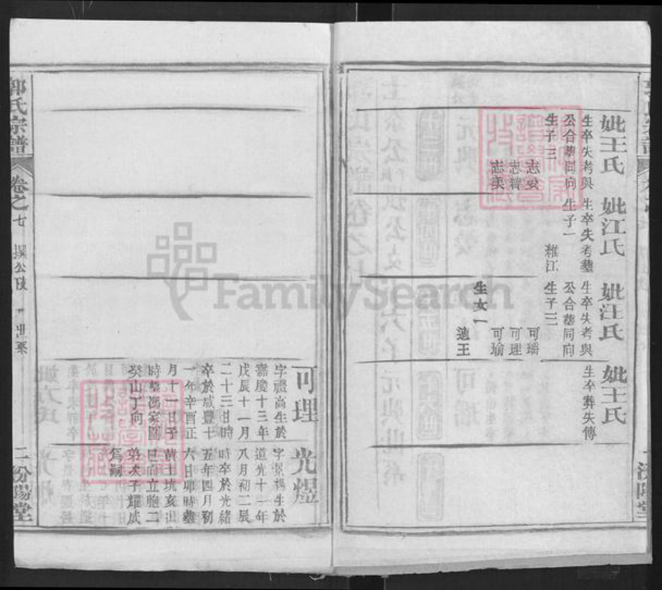 湖北省武汉市新洲区郭氏汾阳堂族谱-郭氏宗谱.pdf电子版插图2