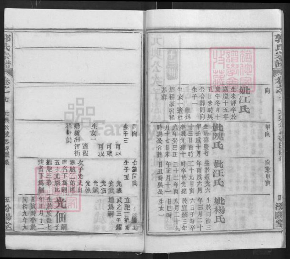 湖北省武汉市新洲区郭氏汾阳堂族谱-郭氏宗谱.pdf电子版插图5