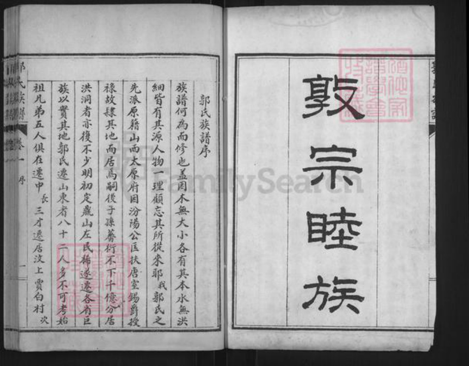 山东省泰安市肥城市桃园镇郭氏族谱-肥城县郭氏族谱.pdf电子版插图2