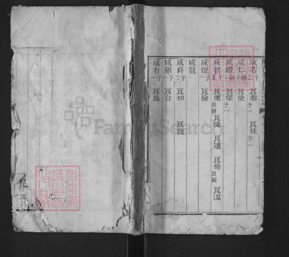 山东省济宁市汶上县郭氏族谱-汶邑郭氏族谱志.pdf电子版插图