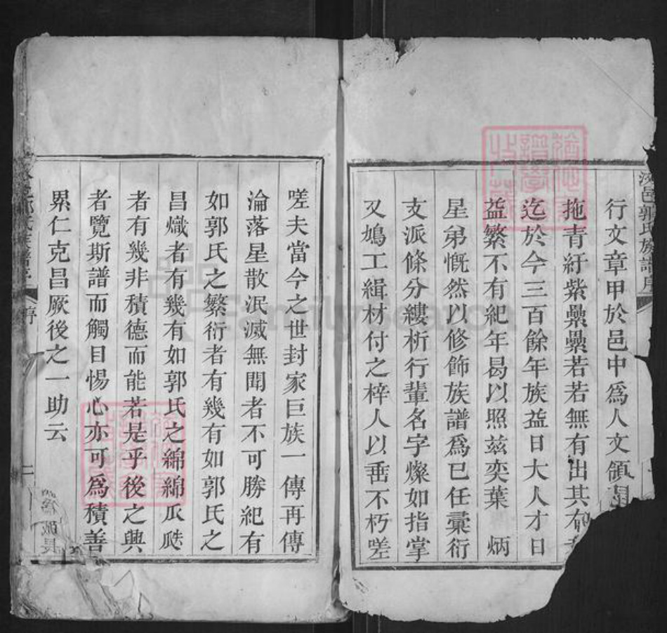 山东省济宁市汶上县郭氏族谱-汶邑郭氏族谱志.pdf电子版插图2