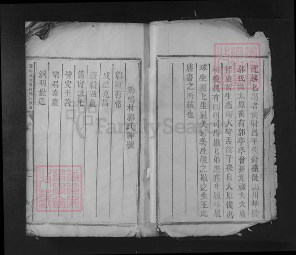江西省吉安市青原区富田镇郭氏族谱-苏溪派鸡鸣村郭氏族谱.pdf电子版插图5