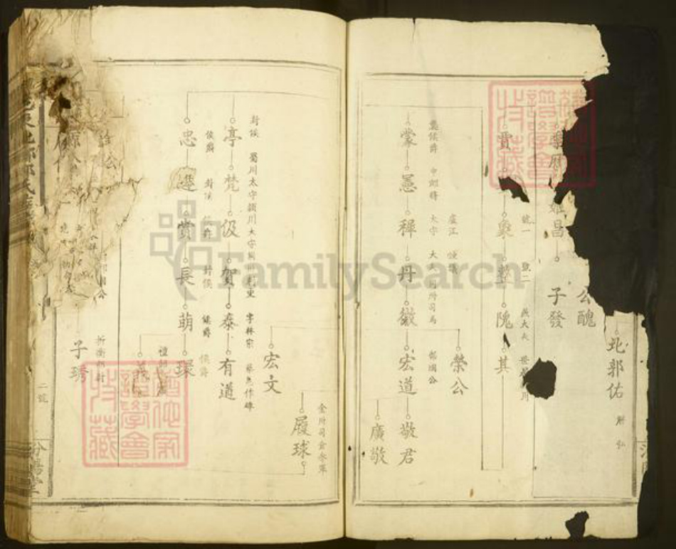 江西省赣州市于都县郭氏汾阳堂族谱-雩邑东北乡郭氏族谱.pdf电子版插图2