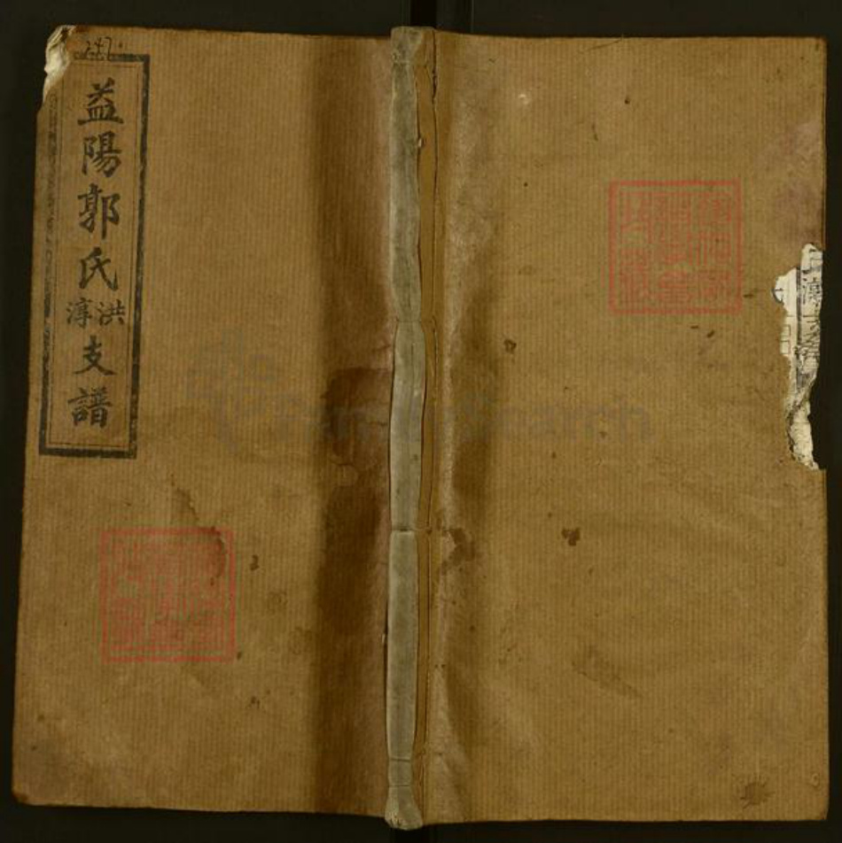 湖南省益阳市资阳区郭氏族谱-益阳郭氏淳洪支谱.pdf电子版插图