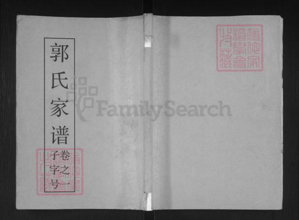江苏省泰州市泰兴市济川街道郭氏七凤堂族谱-郭氏家谱.pdf电子版插图