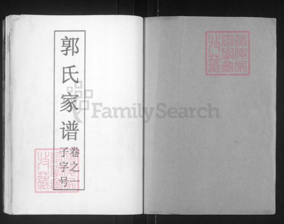 江苏省泰州市泰兴市济川街道郭氏七凤堂族谱-郭氏家谱.pdf电子版插图1
