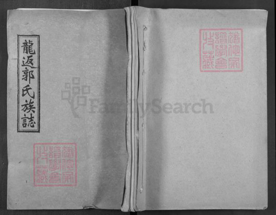 湖南省娄底市双峰县郭氏汾阳堂族谱-双峰龙返郭氏四修族志.pdf电子版插图 湖南省娄底市双峰县郭氏汾阳堂族谱-双峰龙返郭氏四修族志.pdf电子版插图