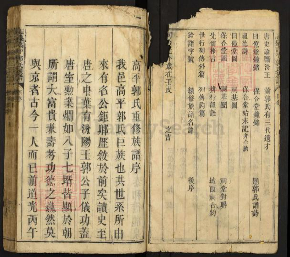 江西省吉安市泰和市塘洲镇郭氏族谱-龙泉高平郭氏族谱.pdf电子版插图2 江西省吉安市泰和市塘洲镇郭氏族谱-龙泉高平郭氏族谱.pdf电子版插图2